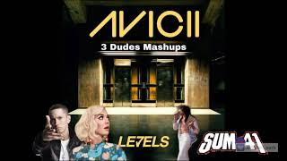 Avicii - Levels (feat. Eminem, Sum 41, Katy Perry & Journey) MEGA MASHUP