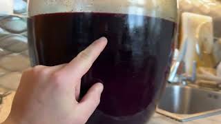 Exclusive Wine smells like sulphur - How to fix it ? Rotten egg smell Details