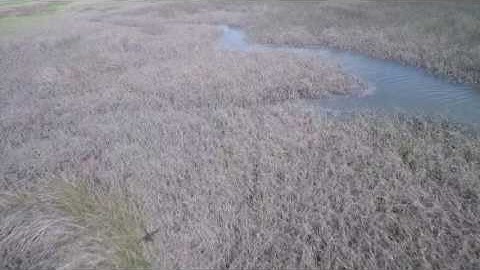 Trash tour drone shot