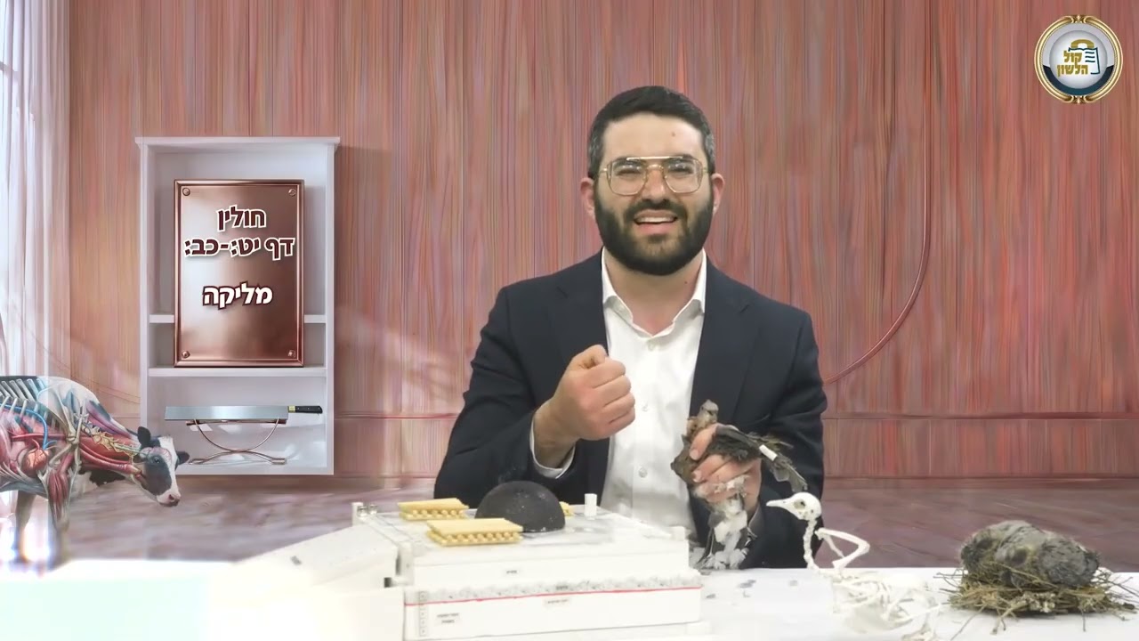🕊️מסכת חולין בהמחשה חיה! דפים י"ט-כ"ב: המחשת מצוות מליקה - פרק 14🩸| הרב שמעון אופן בהמחשה ויזואלית 📸