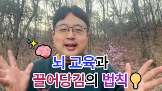 뇌 교육과 끌어당김의 법칙