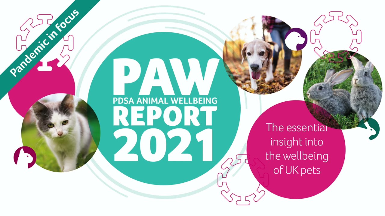 What Percentage Of People Own A Dog In The Uk