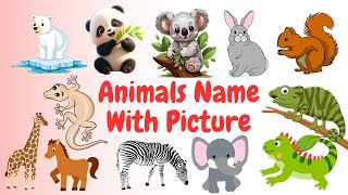 Discover Animals Name in English with Pictures | Animals Vocabulary | Animals Name