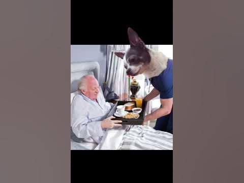 А кто тебе подаст стакан воды?#shorts - YouTube