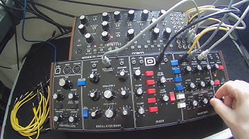 Moog Mother 32 & Behringer Model D