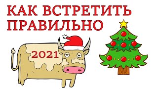 Как правильно встречать НОВЫЙ ГОД БЫКА 2021, в каких цветах встречать ГОД БЫКА и что одеть