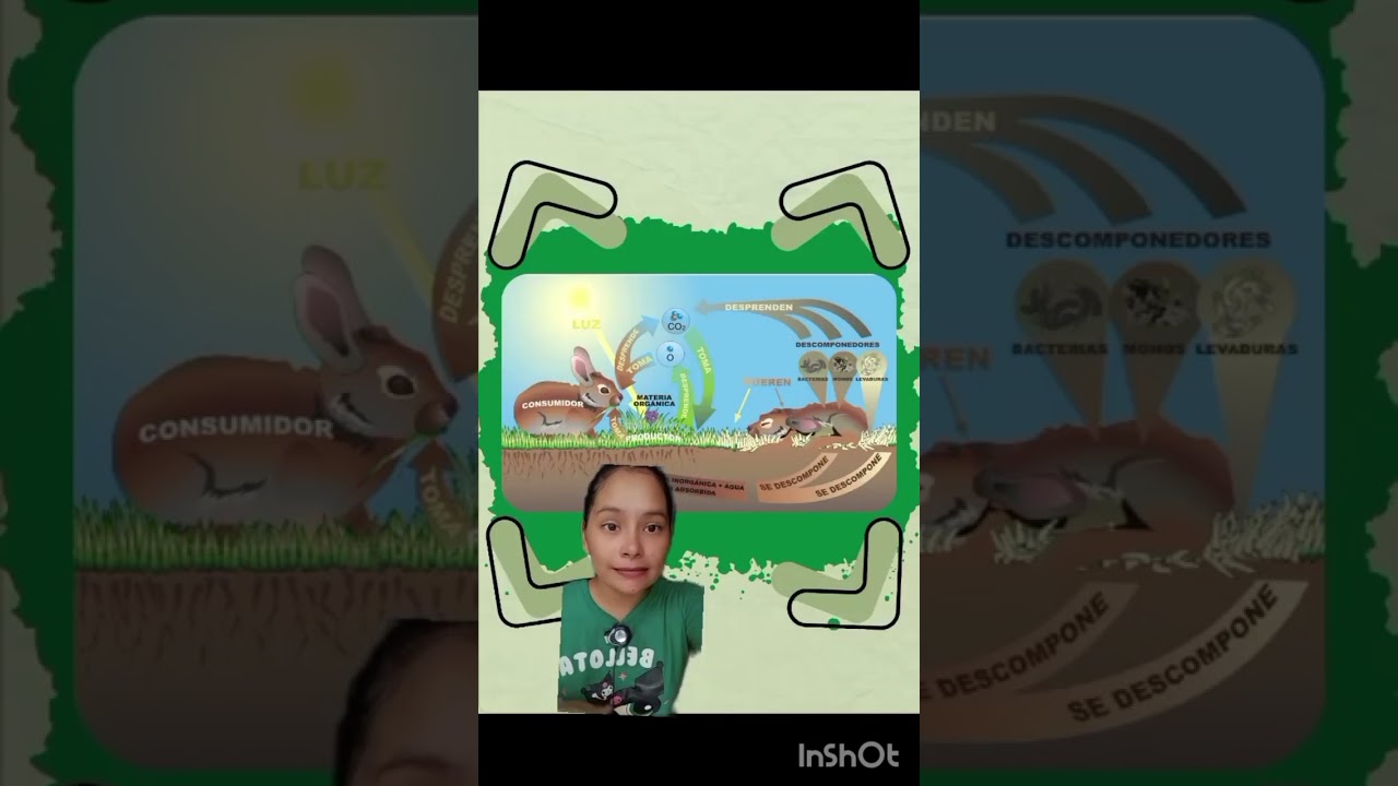 Fisiología aplicada( ecosistemas, adaptación,aclimatación)