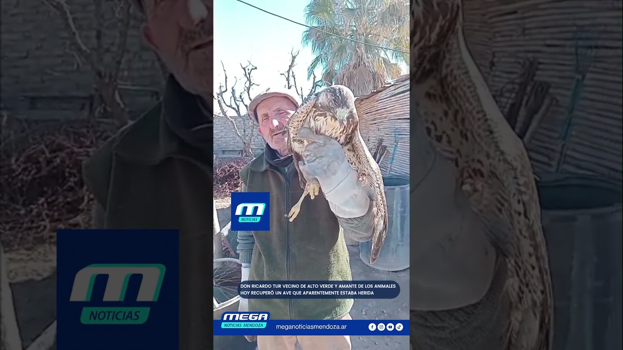 UN VECINO DE ALTO VERDE SALVA A UN AVE HERIDA