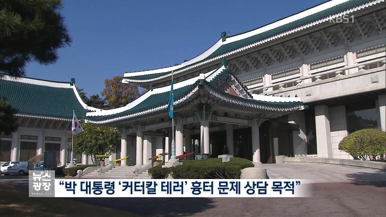 голубой дом в корее. чхонвадэ голубой дом. президентский дворец в сеуле. голубой дом в корее. президентская резиденция чхонвадэ.