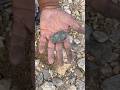 matal detector #shorts #shortsfeed #shortvideo #youtubeshorts #subscribe