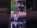 UNH Classic #fortnite #fortnitetürkiye