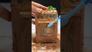 I washed my dirtiest Electric Oven in just 30 seconds!