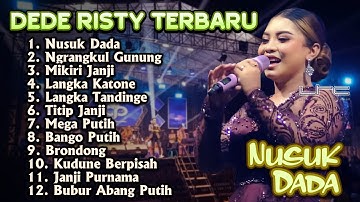 NUSUK DADA DEDE RISTY TERBARU 2025 GANJENE PANTURA full album tarling terbaru 