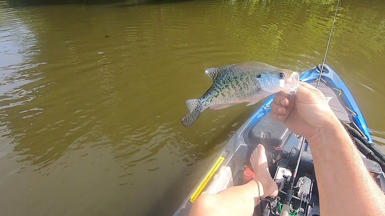 Post Spawn Crappie Slabs at Kinkaid Lake YouTube