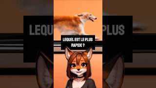 Les animaux les plus rapides #animaux #vitesse #nature #record #insolite #shorts