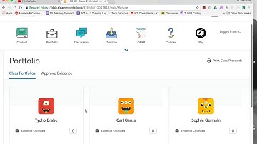 Initial Set-up of Brightspace Portfolio