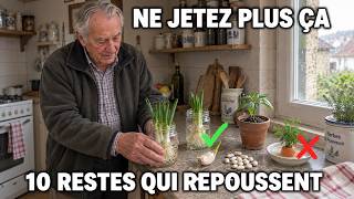 10 Restes De Cuisine À Ne Jamais Jeter Ils Repoussent En Légumes Gratuits