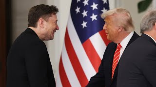 Donald Trump and Elon Musk's friendship was ‘never going to end well’