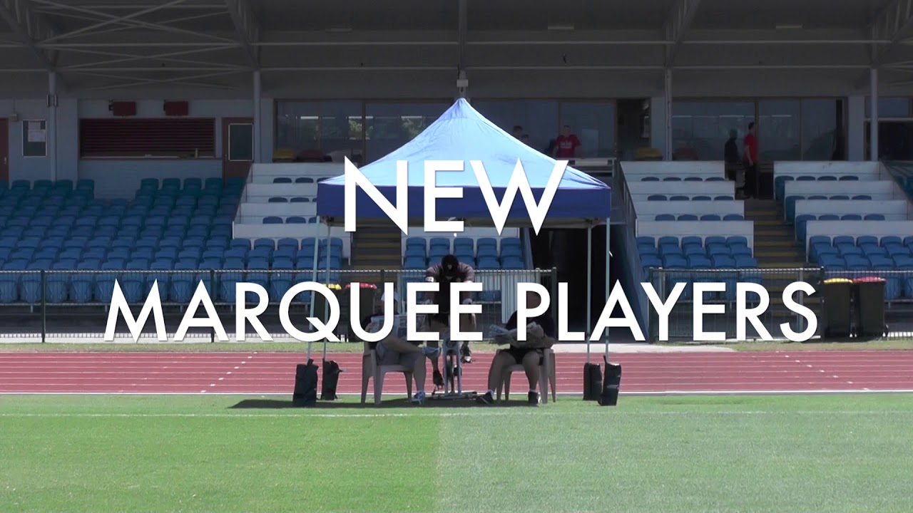 Marquee Players