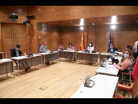 Cristina Narbona explica en rueda de prensa los acuerdos de la Mesa del 7 de julio
