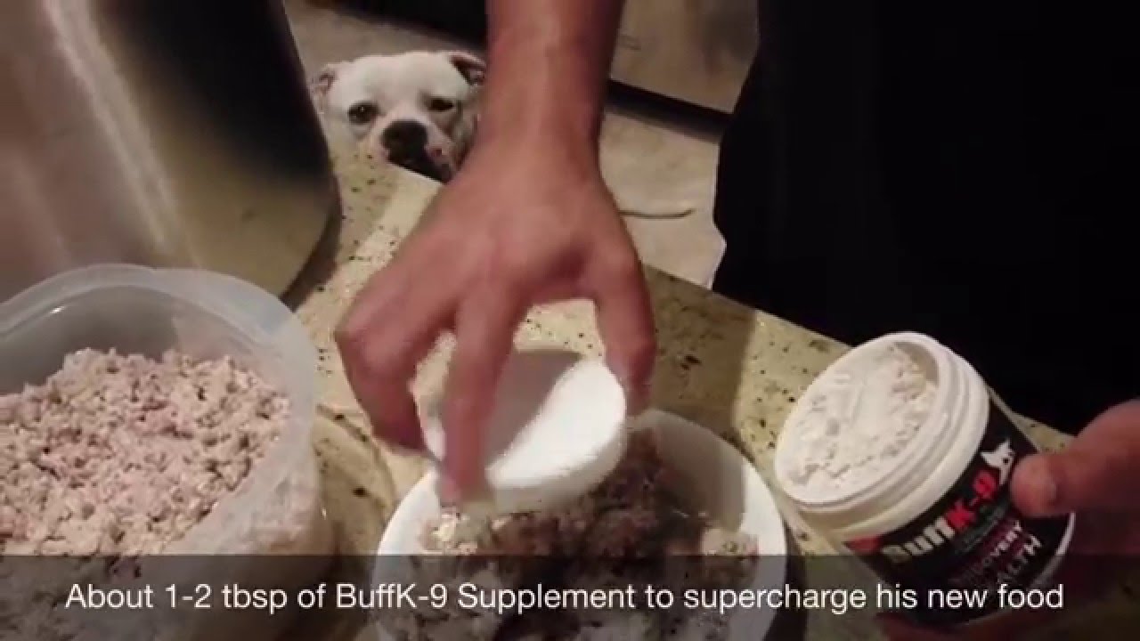 Ultimate RAW Dog Food Recipe YouTube