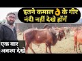 गुजरात के ऐसे गिर नदी नहीं देखे होंगे  || Must not have seen such Gir Nandi of Gujarat