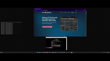 Cindy C2 Network Showcase Best Botnet Showcase Best Botnet C2/BOTNET/API VS HTTPDEBUGGER[.]COM