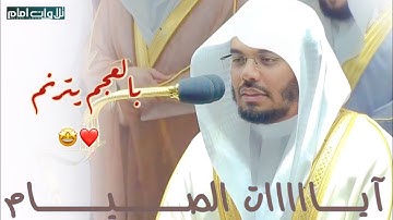 شهر رمضان الذي انزل فيه القران " الشيخ ياسر الدوسري يتألق بتلاوة اسطورية لآيات الصيام.