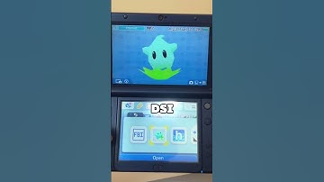 The Nintendo DS has a MASSIVE community