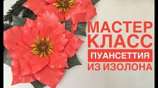 Мастер класс Пуансеттия из изолона