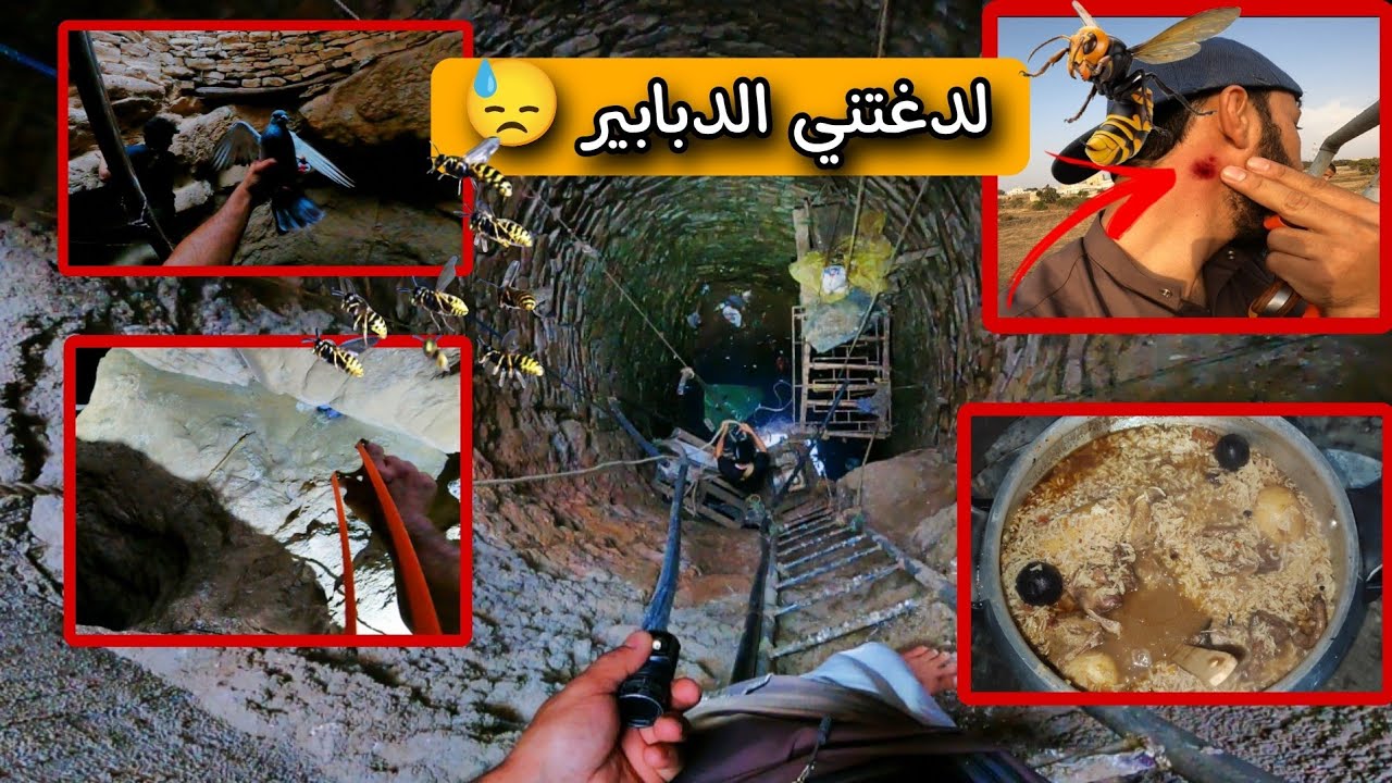 لدغتني الدبابير 😓 العيش في البريه الجزء 54