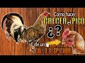 Gallos despicados  como hacer crecer su pico  gallos finos