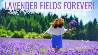 Oregon Lavender Festival 2019 at The Oregon Lavender Farm | My Oregon Adventures!