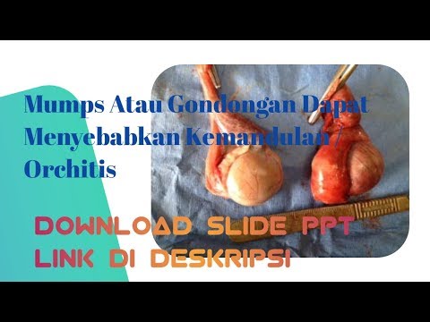 Video: Mumps - Komplikasi Gondongan