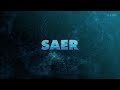 SAER -  история итальянского производителя поверхностных, погружных насосов и двигателей для них