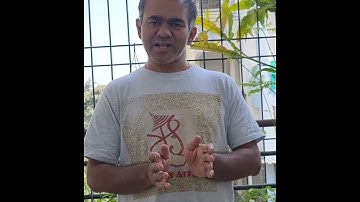 Certified Course of Master Practitioner of NLP