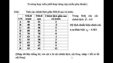 Ước lượng kiểm định về trung bình và tỷ lệ năm 2024