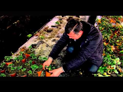 აწარმოე საქართველოში რუსლან აბსანძე ზუგდიდი