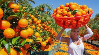 The Hidden Secrets of Orange Juice Production EXPOSED