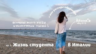 Сколько стоит жизнь в Италии? | сложности учебы в Вышке, один день в Равенне, оформляю местную карту