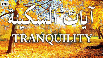 آيات السكينة لدفع القلق والهموم😌🎧 قران كريم بصوت جميل جدا جدا | AYAT OF TRANQUILITY - SAKINAH