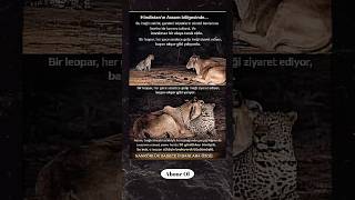 Bu Fotoğrafı Görüyormusunuz Nankörlük Sadece İnsanlara Özgüdür Şfet Şk