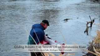 Robotic Fish Search Oil in Kalamazoo River