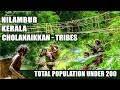 Cholanaikkans | one of the last remaining hunter-gatherer tribes | Kaattilekulla Vazhi -Documentary