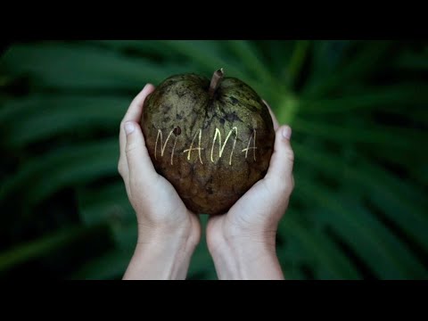 Видео: Что в мешке ее мамы Сэм Манн