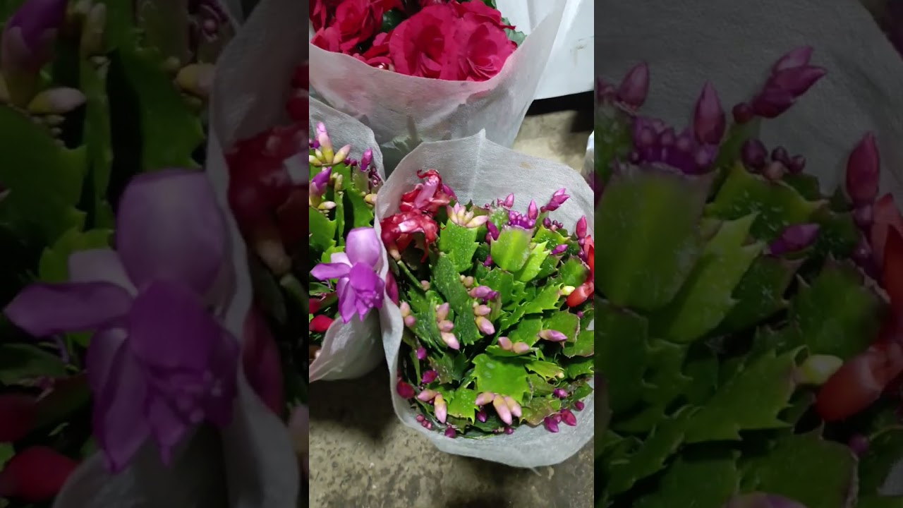 11 февраля 2026 г.