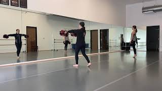 Pom Combination: APDT Video Auditions