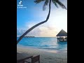الآية الله نور السماوات و الأرض للقارئ هشام الهراز