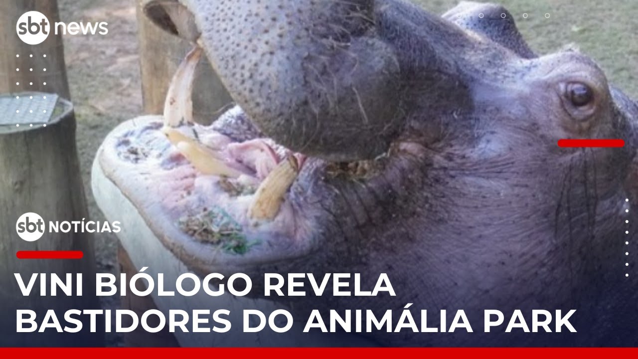 Vini Biólogo mostra os bastidores do Animália Park próximo a São Paulo | 