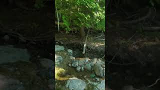 A quick walk after work